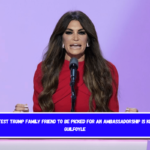 The latest Trump family friend to be picked for an ambassadorship is Kimberly Guilfoyle