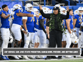 USF versus. San Jose State Prediction, Hawaii Bowl Preview, and Betting Lines