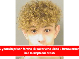 12 years in prison for the TikToker who killed 6 farmworkers in a 151 mph car crash