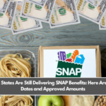 9 U.S. States Are Still Delivering SNAP Benefits: Here Are Your Dates and Approved Amounts