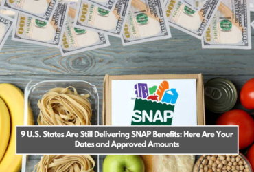 9 U.S. States Are Still Delivering SNAP Benefits: Here Are Your Dates and Approved Amounts