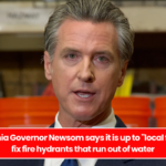 California Governor Newsom says it is up to "local folks" to fix fire hydrants that run out of water