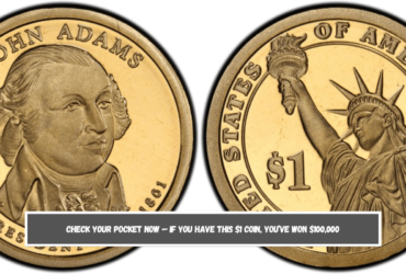 Check your pocket now — If you have this $1 coin, you’ve won $100,000