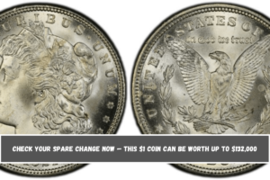 Check your spare change now — This $1 coin can be worth up to $132,000