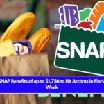 Extra SNAP Benefits of up to $1,756 to Hit Acconts in Florida This Week