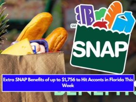 Extra SNAP Benefits of up to $1,756 to Hit Acconts in Florida This Week