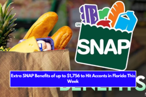 Extra SNAP Benefits of up to $1,756 to Hit Acconts in Florida This Week