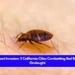 Insect Invasion: 5 California Cities Combatting Bed Bug Onslaught