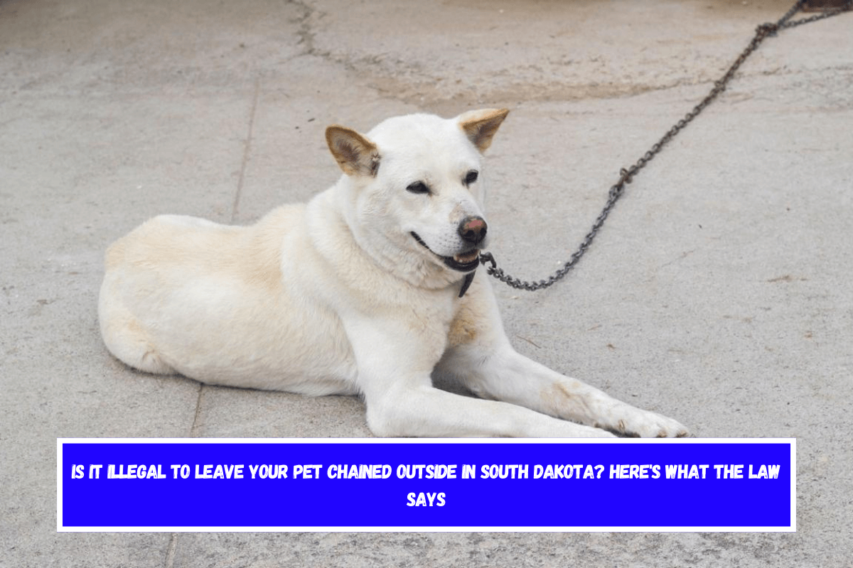 Is It Illegal to Leave Your Pet Chained Outside in South Dakota Here's What the Law Says