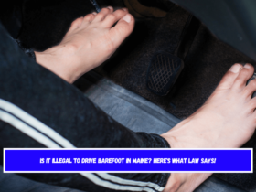 Is it illegal to drive barefoot in Maine Here's What Law Says!