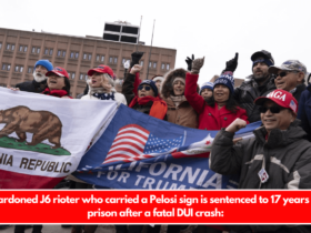 Pardoned J6 rioter who carried a Pelosi sign is sentenced to 17 years in prison after a fatal DUI crash