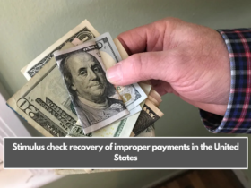 Stimulus check recovery of improper payments in the United States