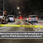 Wife killed and husband injured while attempting to save their pets from Pit Bull attack in their own backyard