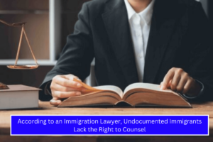 According to an Immigration Lawyer, Undocumented Immigrants Lack the Right to Counsel