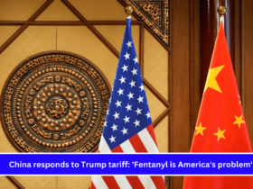 China responds to Trump tariff 'Fentanyl is America's problem'