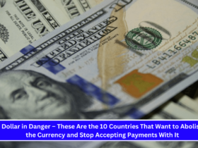 Dollar in Danger – These Are the 10 Countries That Want to Abolish the Currency and Stop Accepting Payments With It