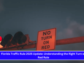 Florida Traffic Rule 2025 Update Understanding the Right Turn on Red Rule