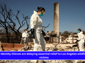 Identity thieves are delaying essential relief to Los Angeles wildfire victims