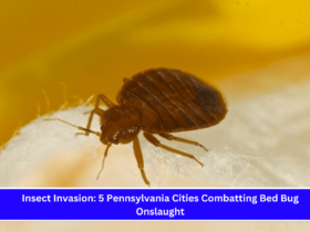 Insect Invasion 5 Pennsylvania Cities Combatting Bed Bug Onslaught