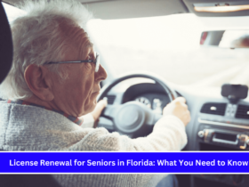 License Renewal for Seniors in Florida What You Need to Know