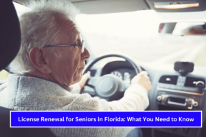 License Renewal for Seniors in Florida What You Need to Know