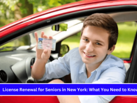 License Renewal for Seniors in New York What You Need to Know