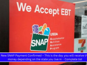 New SNAP Payment Confirmed – This is the day you will receive the money depending on the state you live in – Complete list