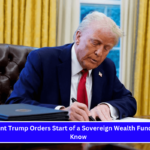 President Trump Orders Start of a Sovereign Wealth Fund What to Know