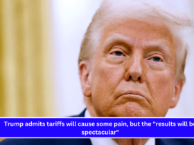 Trump admits tariffs will cause some pain, but the results will be spectacular