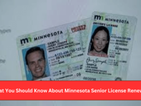 What You Should Know About Minnesota Senior License Renewal