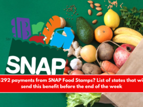 $292 payments from SNAP Food Stamps List of states that will send this benefit before the end of the week