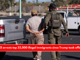 ICE arrests top 32,000 illegal immigrants since Trump took office