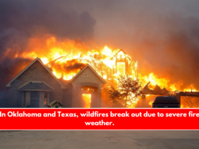 In Oklahoma and Texas, wildfires break out due to severe fire weather.