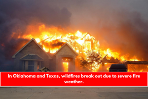 In Oklahoma and Texas, wildfires break out due to severe fire weather.