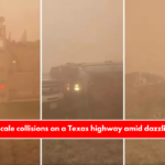 Large-scale collisions on a Texas highway amid dazzling dust