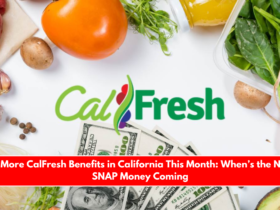 No More CalFresh Benefits in California This Month When’s the Next SNAP Money Coming