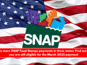 No more SNAP Food Stamps payments in these states Find out if you are still eligible for the March 2025 payment