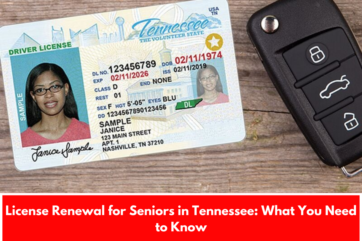 License Renewal for Seniors in Tennessee: What You Need to Know