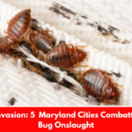 Insect Invasion: 5 Maryland Cities Combatting Bed Bug Onslaught