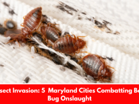 Insect Invasion: 5 Maryland Cities Combatting Bed Bug Onslaught