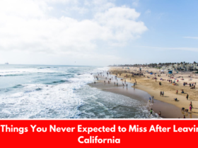 11 Things You Never Expected to Miss After Leaving California