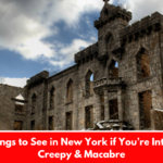 11 Things to See in New York if You’re Into the Creepy & Macabre