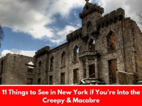 11 Things to See in New York if You’re Into the Creepy & Macabre