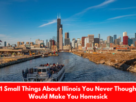 11 Small Things About IIIinois You Never Thought Would Make You Homesick