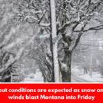 Whiteout conditions are expected as snow and high winds blast Montana into Friday