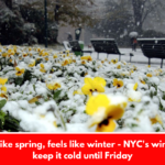 Looks like spring, feels like winter - NYC's winds will keep it cold until Friday