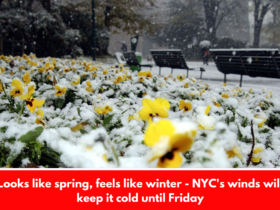 Looks like spring, feels like winter - NYC's winds will keep it cold until Friday