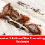 Insect Invasion: 5 Indiana Cities Combatting Bed Bug Onslaught