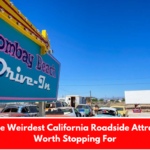 11 of the Weirdest California Roadside Attractions Worth Stopping For