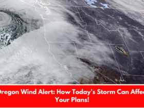 Oregon Wind Alert: How Today's Storm Can Affect Your Plans!